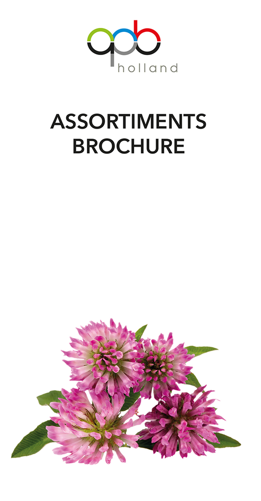 Assortiments Brochure
