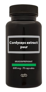 Cordyceps extract